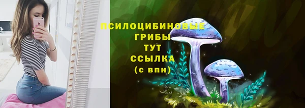 спайс Магадан
