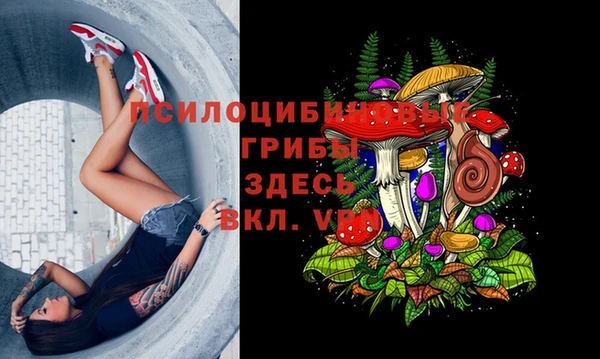 гашиш Магас