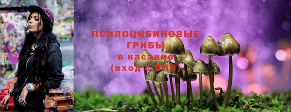 спайс Магадан