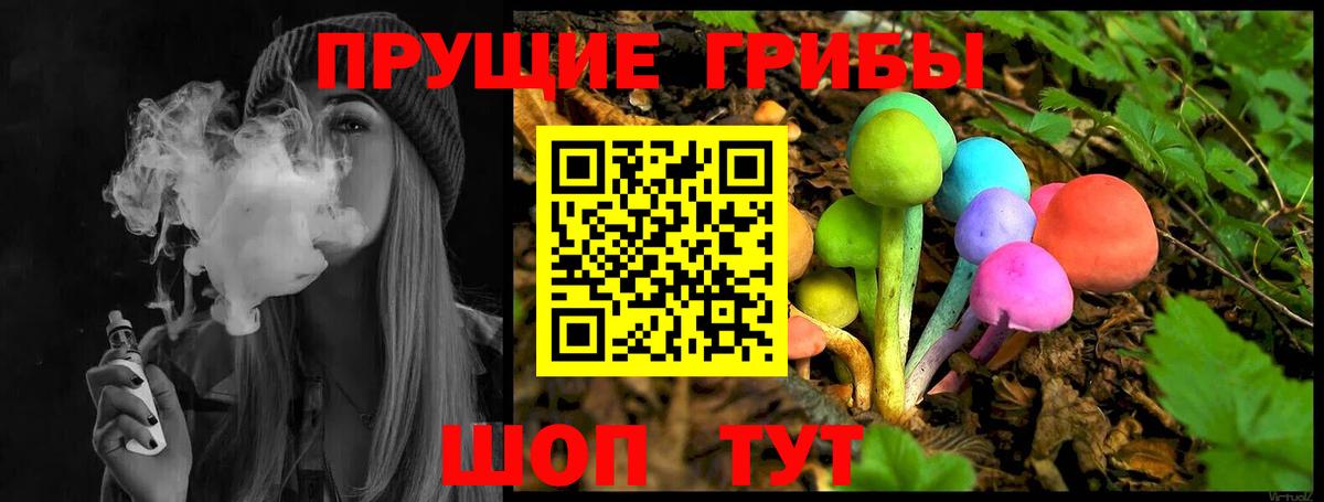 Псилоцибиновые грибы MAGIC MUSHROOMS  Псилоцибиновые грибы Cubensis  Вход с VPN  Подольск 