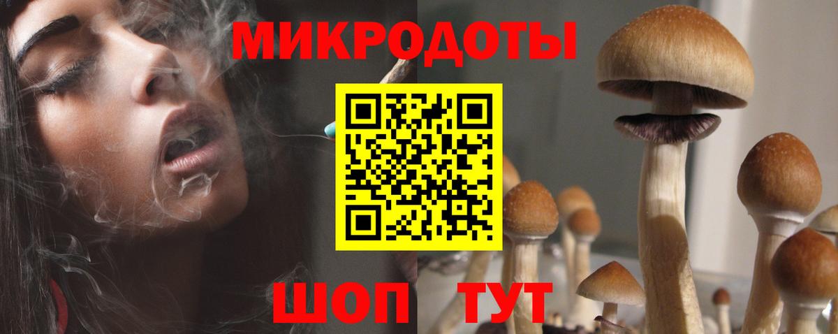 Псилоцибиновые грибы прущие грибы Подольск